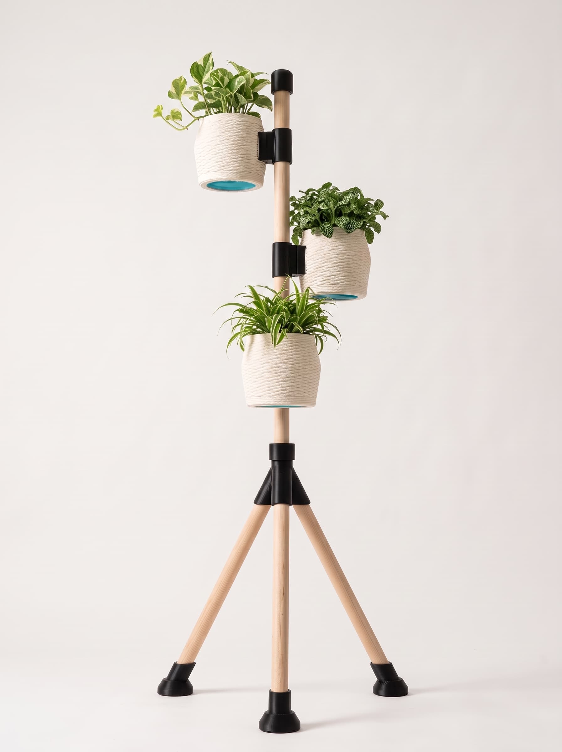 Plantário  miniatura 1